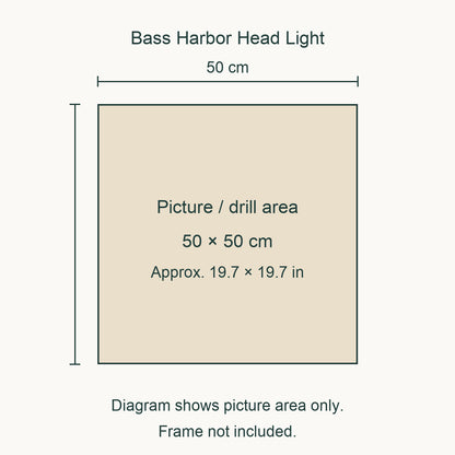 Size guide for this design: 50 × 50 cm (approximately 19.7 × 19.7 in) picture/drill area. Canvas margins and outer frame dimensions are not shown. Frame not included.