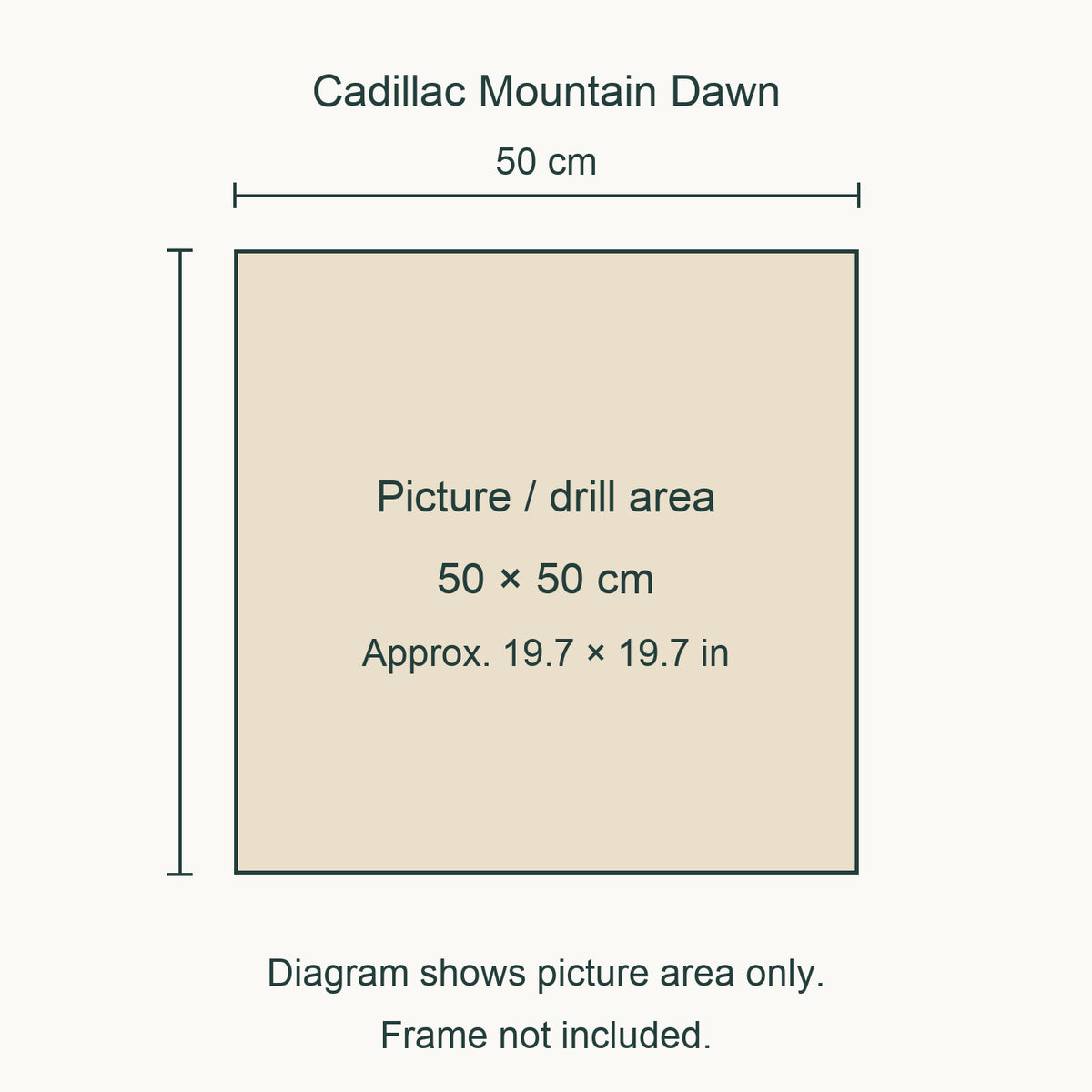Size guide for this design: 50 × 50 cm (approximately 19.7 × 19.7 in) picture/drill area. Canvas margins and outer frame dimensions are not shown. Frame not included.