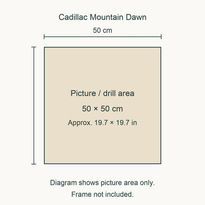 Size guide for this design: 50 × 50 cm (approximately 19.7 × 19.7 in) picture/drill area. Canvas margins and outer frame dimensions are not shown. Frame not included.
