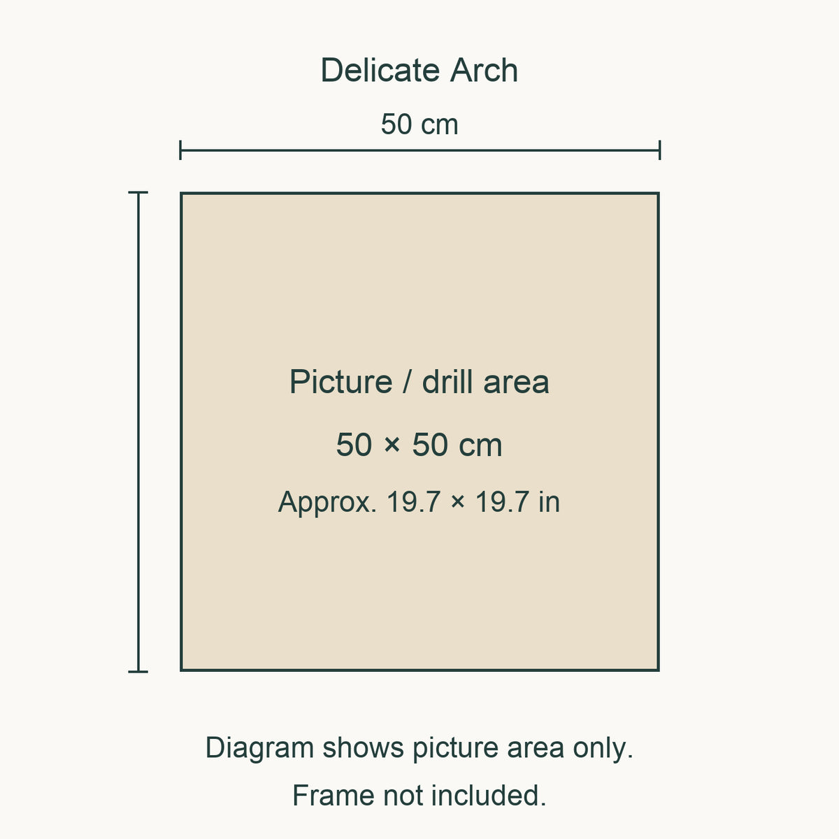 Size guide for this design: 50 × 50 cm (approximately 19.7 × 19.7 in) picture/drill area. Canvas margins and outer frame dimensions are not shown. Frame not included.