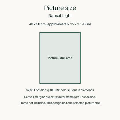 Proportional size guide for the sole 40 × 50 cm picture area. Canvas margins are extra; outer-frame size unspecified. Frame not included.