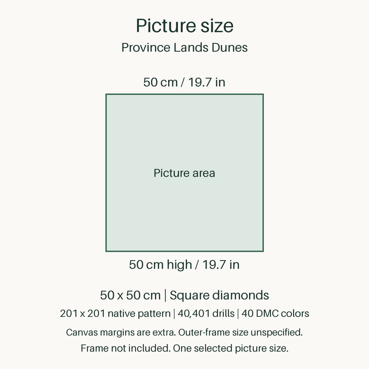 Proportional size guide for the sole 50 × 50 cm picture area. Canvas margins are extra; outer-frame size unspecified. Frame not included.