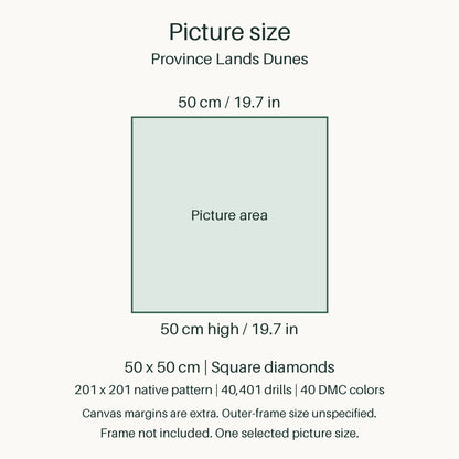 Proportional size guide for the sole 50 × 50 cm picture area. Canvas margins are extra; outer-frame size unspecified. Frame not included.