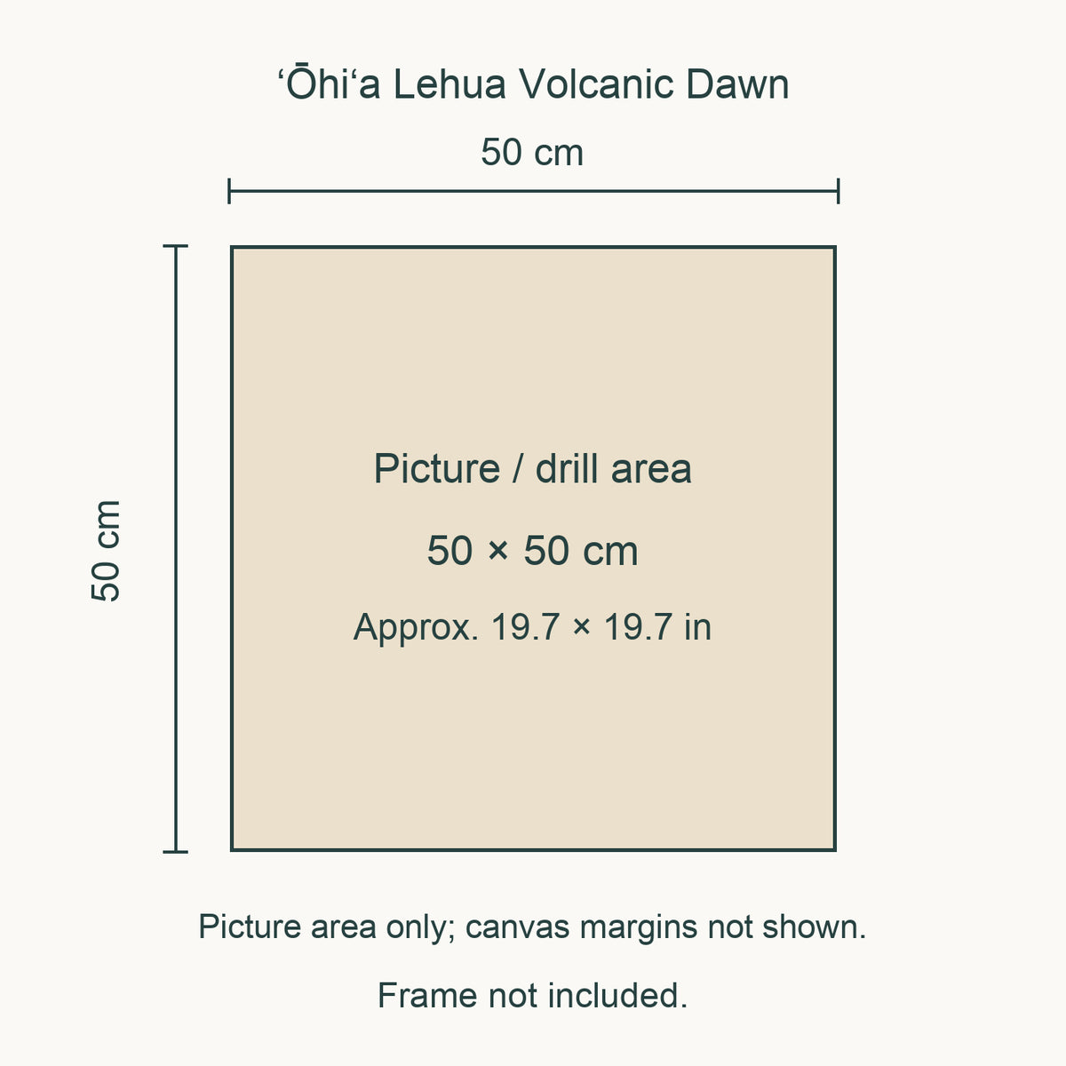 Size guide for this design: 50 × 50 cm (approximately 19.7 × 19.7 in) picture/drill area. Canvas margins and outer frame dimensions are not shown. Frame not included.