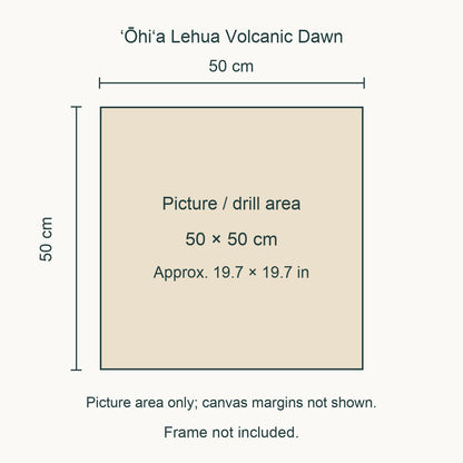 Size guide for this design: 50 × 50 cm (approximately 19.7 × 19.7 in) picture/drill area. Canvas margins and outer frame dimensions are not shown. Frame not included.