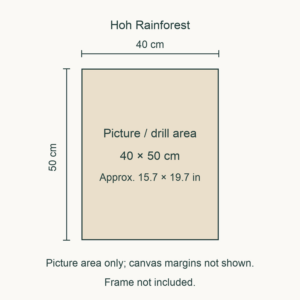 Olympic Diamond Painting Kit — Hoh Moss Trail picture size guide