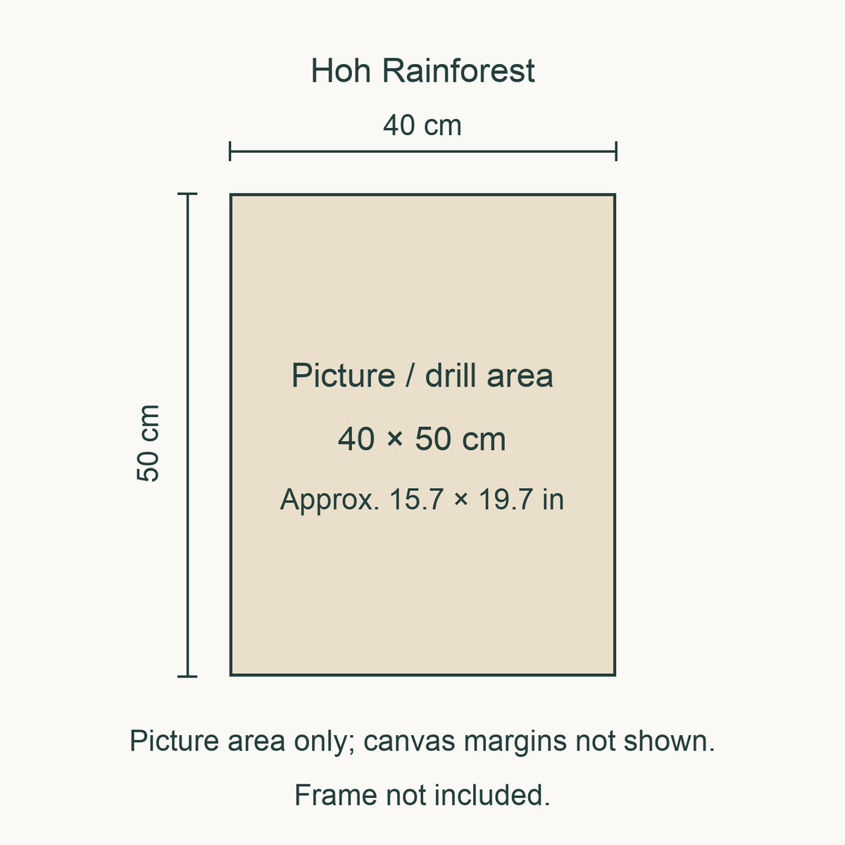 Size guide for this design: 40 × 50 cm (approximately 15.7 × 19.7 in) picture/drill area. Canvas margins and outer frame dimensions are not shown. Frame not included.