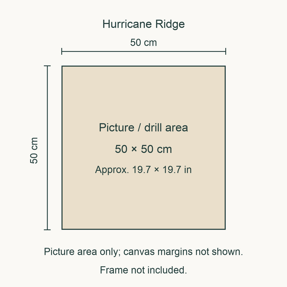 Olympic Diamond Painting Kit — Hurricane Ridge picture size guide