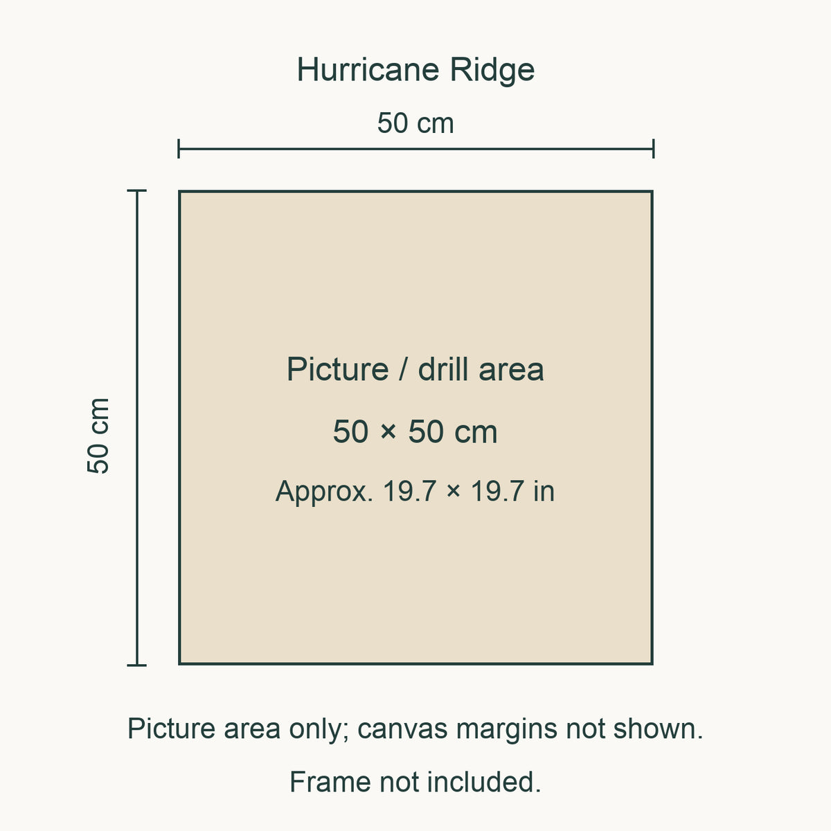 Size guide for this design: 50 × 50 cm (approximately 19.7 × 19.7 in) picture/drill area. Canvas margins and outer frame dimensions are not shown. Frame not included.
