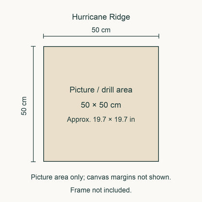 Size guide for this design: 50 × 50 cm (approximately 19.7 × 19.7 in) picture/drill area. Canvas margins and outer frame dimensions are not shown. Frame not included.