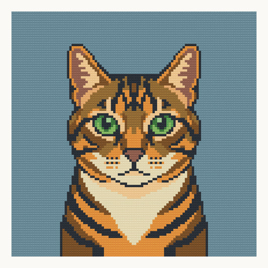 Tabby Cat Portrait · 30 × 30 cm round-diamond digital preview. Finished colors and sparkle can vary.