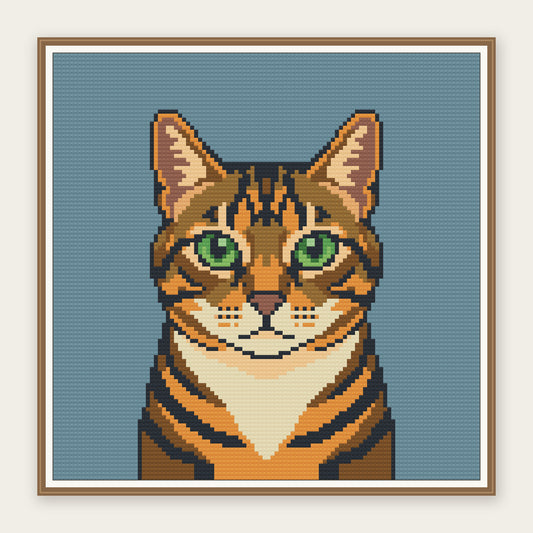 Tabby Cat Portrait · 30 × 30 cm picture in a digital framing illustration. Frame not included.