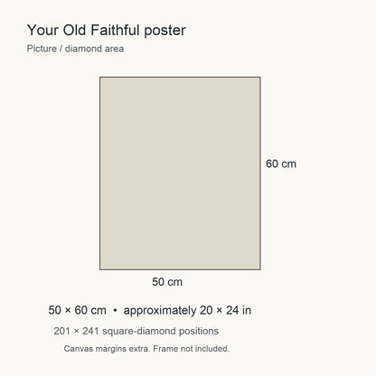 50 × 60 cm picture with 201 × 241 square-diamond positions. Canvas margins extra; frame not included.