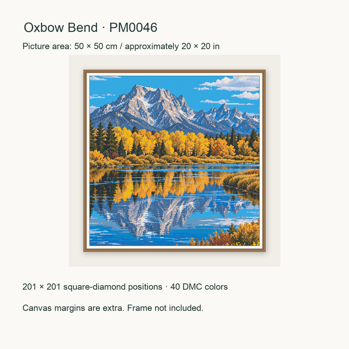50 × 50 cm picture with 201 × 201 square-diamond positions. Canvas margins extra; frame not included.
