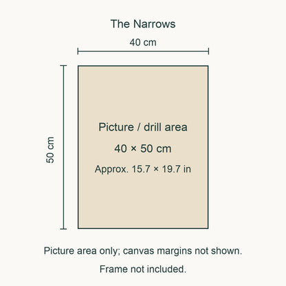 Size guide for this design: 40 × 50 cm (approximately 15.7 × 19.7 in) picture/drill area. Canvas margins and outer frame dimensions are not shown. Frame not included.