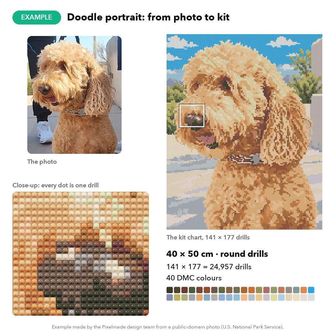 Example: a goldendoodle photo made into a 40 × 50 cm custom diamond painting chart, 141 × 177 round drills, 40 DMC colours