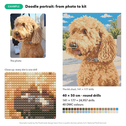 Example: a goldendoodle photo made into a 40 × 50 cm custom diamond painting chart, 141 × 177 round drills, 40 DMC colours