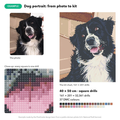 Example: a black-and-white dog photo made into a 40 × 50 cm custom diamond painting chart, 161 × 201 square drills, 37 DMC colours