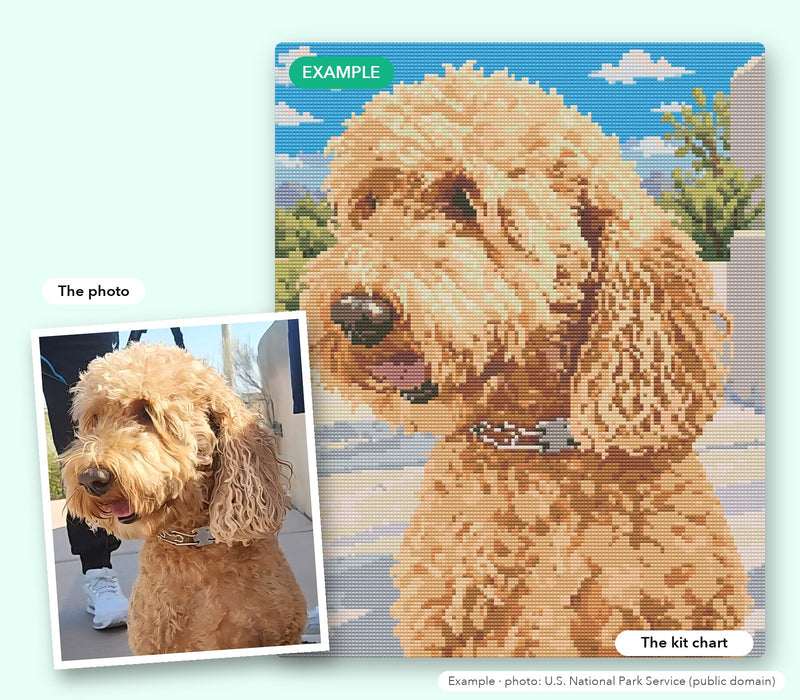 Example: a goldendoodle photo next to the custom diamond painting chart our designers made from it (photo: U.S. National Park Service, public domain)