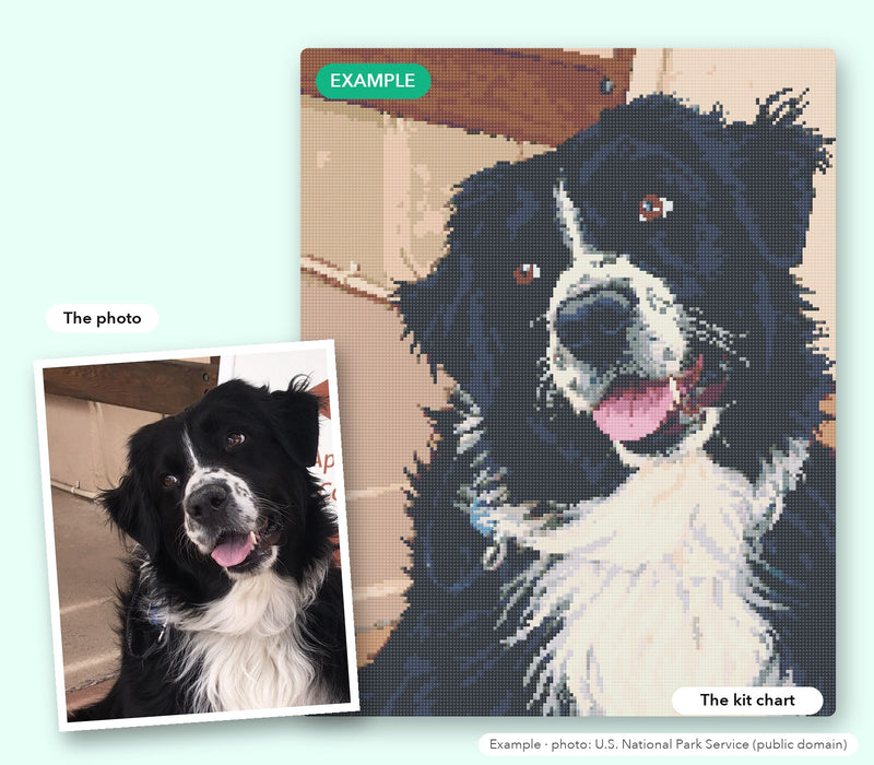 Example: a dog photo next to the custom diamond painting chart our designers made from it (photo: U.S. National Park Service, public domain)